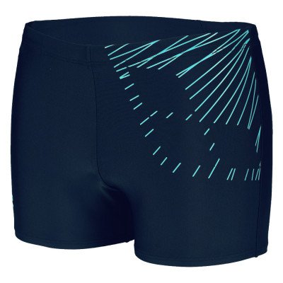 Плавки-шорты спортивные мужские Arena Trick