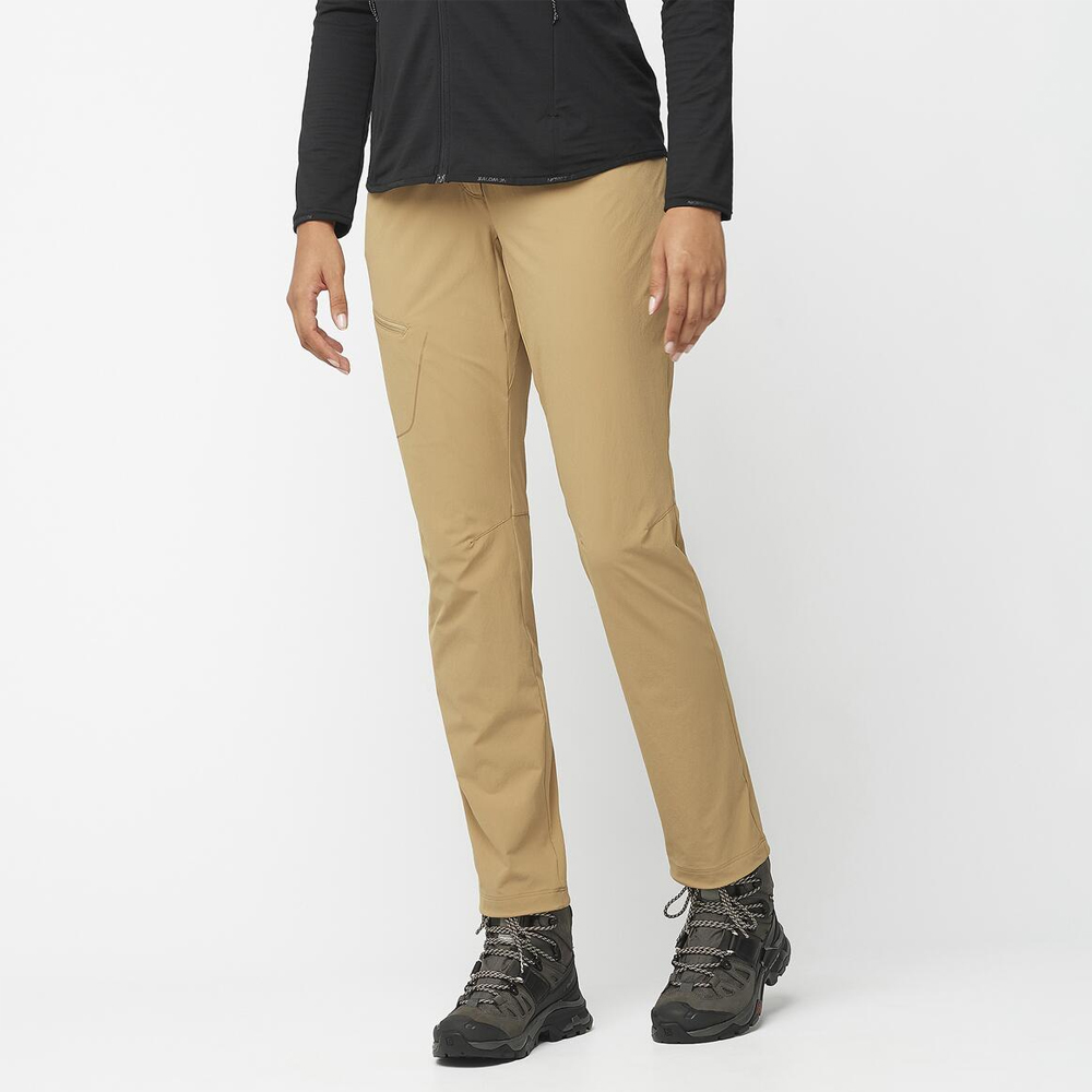 Треккинговые брюки женские Salomon Wayfarer warm