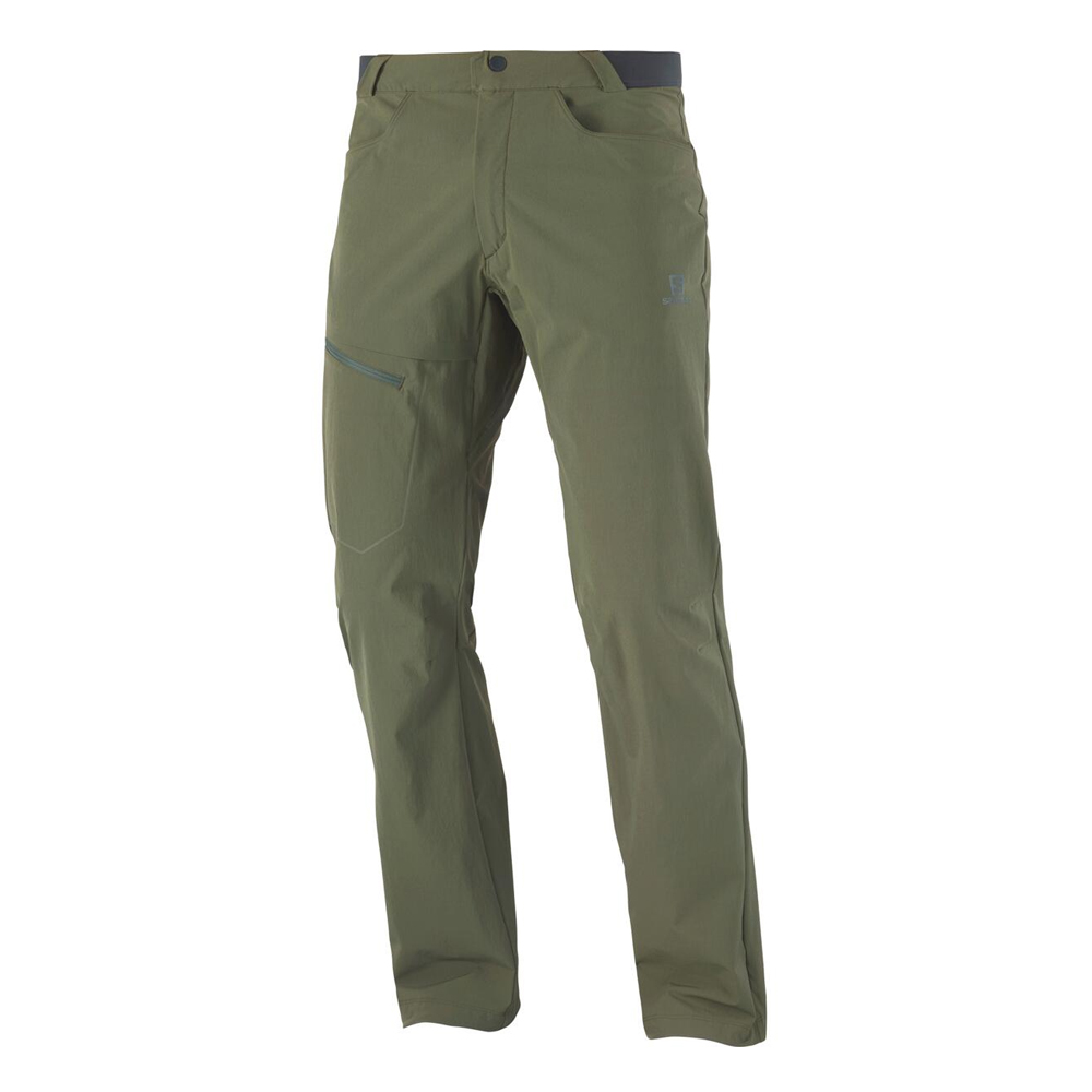 Треккинговые брюки мужские Salomon Wayfarer warm