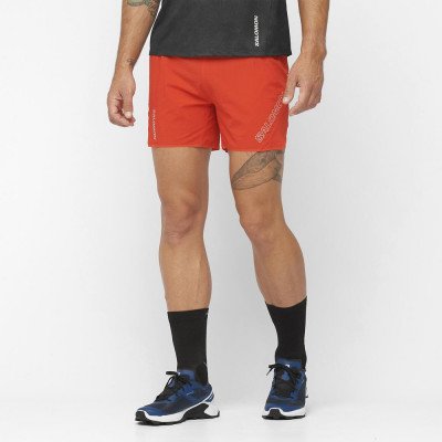Шорты спортивные мужские Salomon Sense aero 5 Шорты спортивные мужские Salomon Sense aero 5