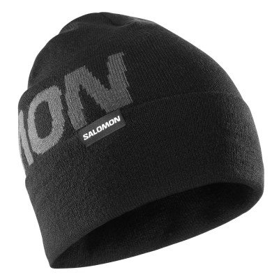 Зимняя шапка Salomon Hermitage beanie Зимняя шапка Salomon Hermitage beanie