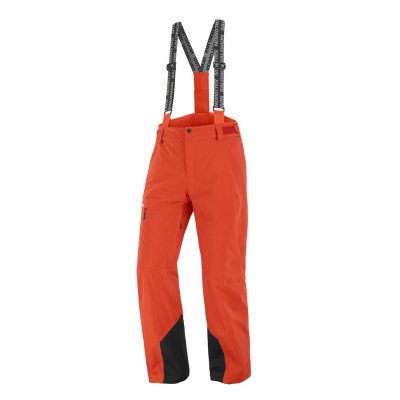 Горнолыжные брюки мужские Salomon Brilliant Горнолыжные брюки мужские Salomon Brilliant