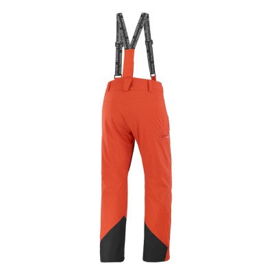 Горнолыжные брюки мужские Salomon Brilliant Горнолыжные брюки мужские Salomon Brilliant