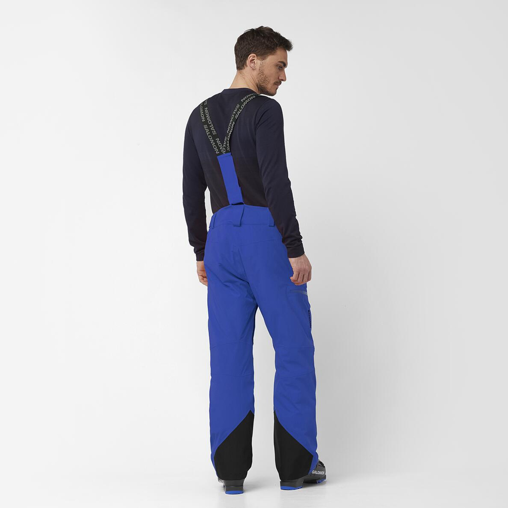 Горнолыжные брюки мужские Salomon Brilliant