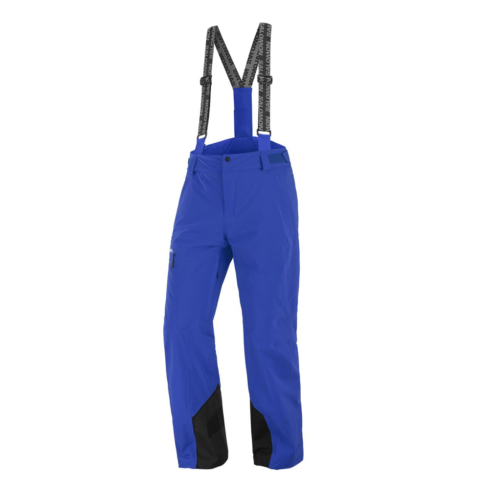 Горнолыжные брюки мужские Salomon Brilliant