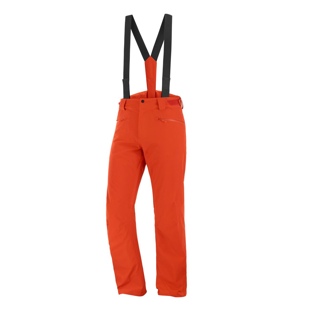 Брюки горнолыжные мужские Salomon Edge