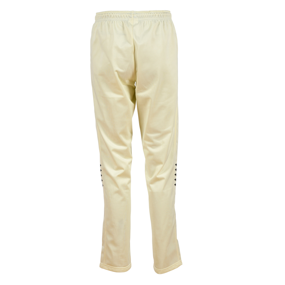 Спортивные брюки женские Arena Straight