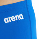 Плавки-шорты длинные мужские Arena Solid