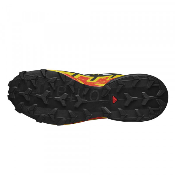 Треккинговые кроссовки мужские Salomon Speedcross 6