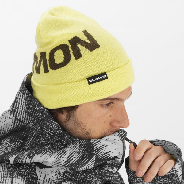 Зимняя шапка Salomon Hermitage beanie