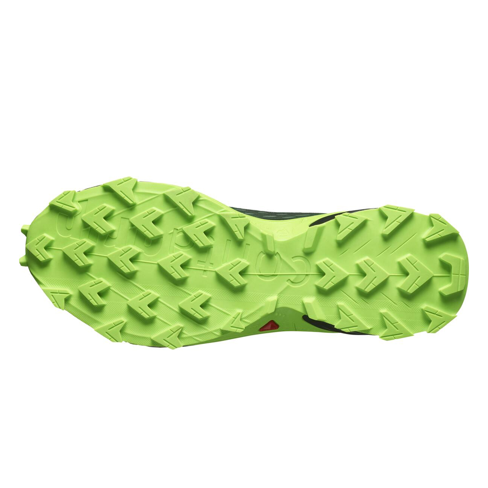 Треккинговые кроссовки мужские Salomon Alphacross 5