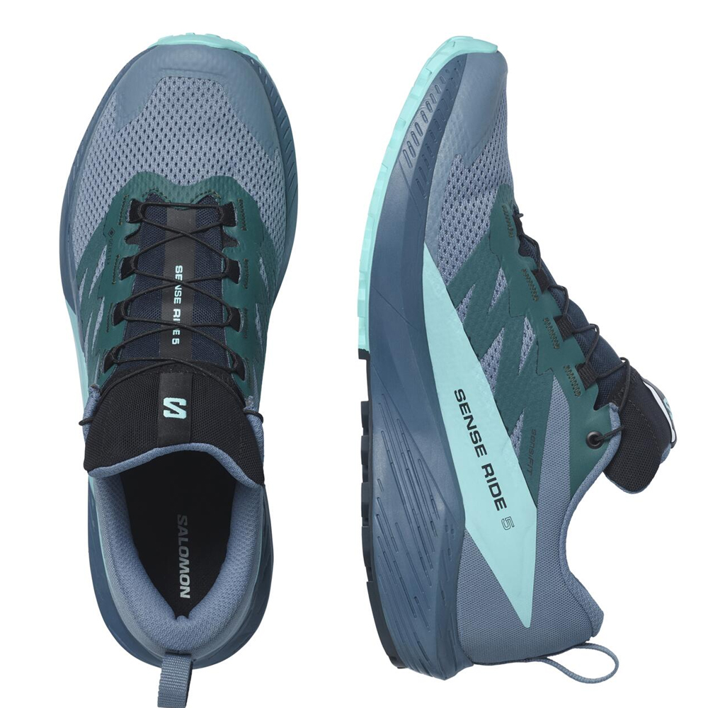 Кроссовки для бега мужские Salomon Sense ride 5 gtx