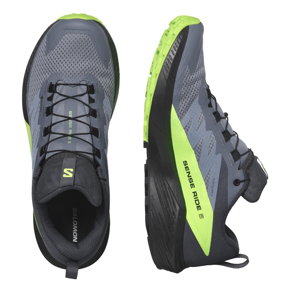 Кроссовки для бега мужские Salomon Sense ride 5 gtx