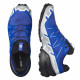 Треккинговые кроссовки мужские Salomon Speedcross 6 gtx