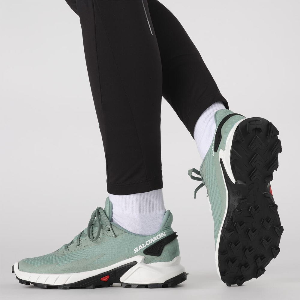 Треккинговые кроссовки мужские Salomon Alphacross 4