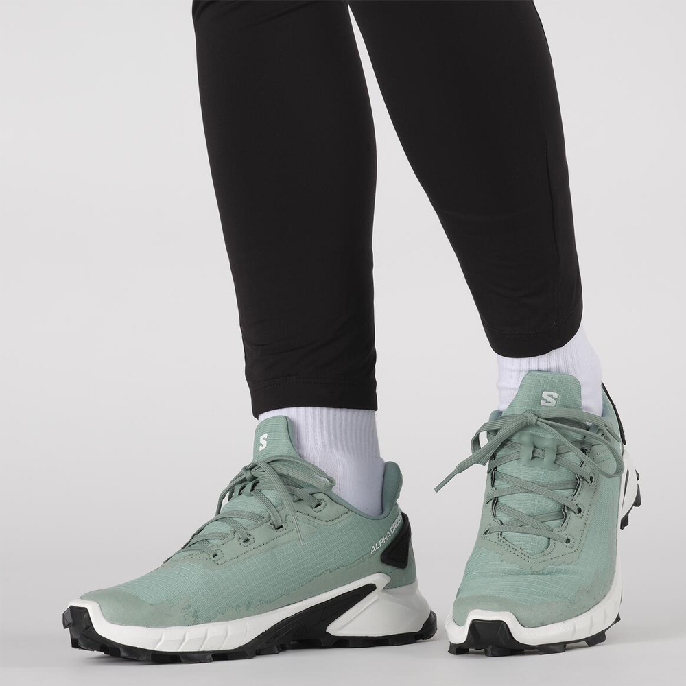 Треккинговые кроссовки мужские Salomon Alphacross 4