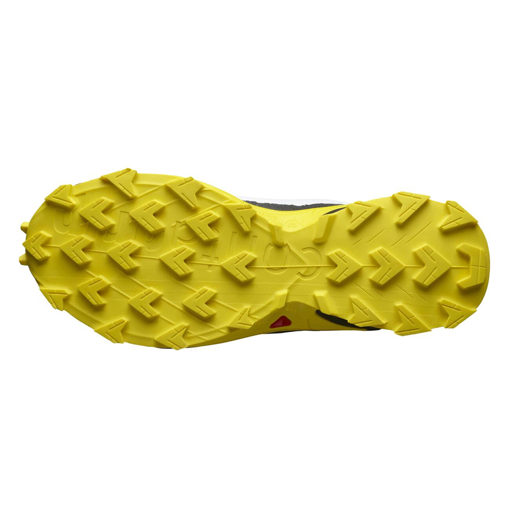 Треккинговые кроссовки мужские Salomon Alphacross 4