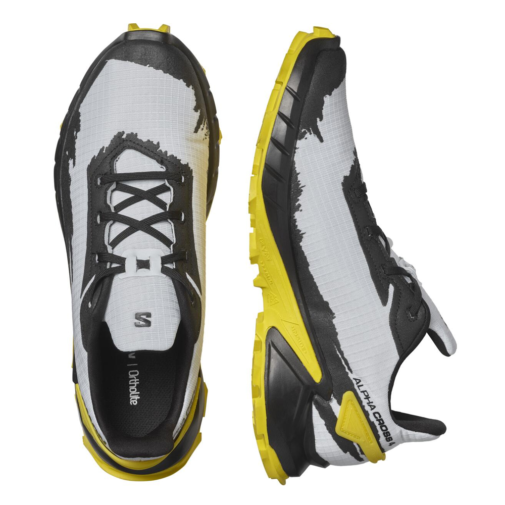 Треккинговые кроссовки мужские Salomon Alphacross 4