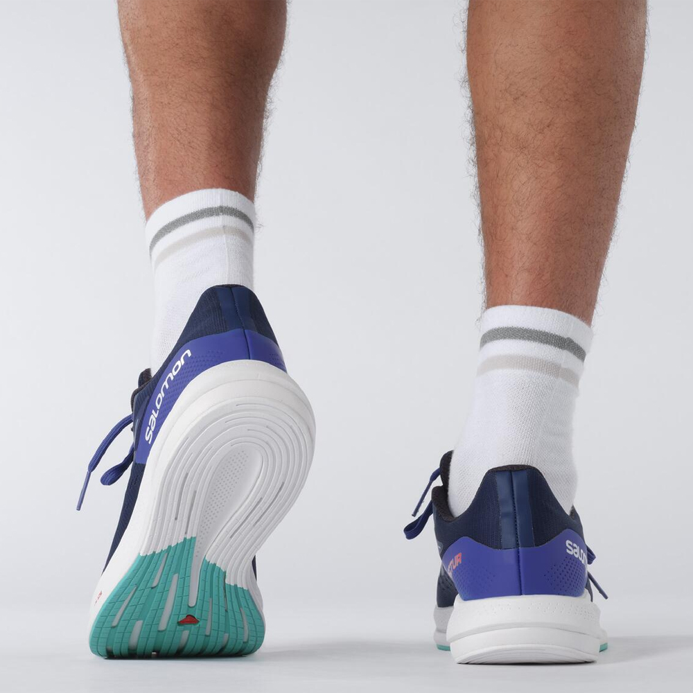 Кроссовки беговые мужские Salomon Spectur