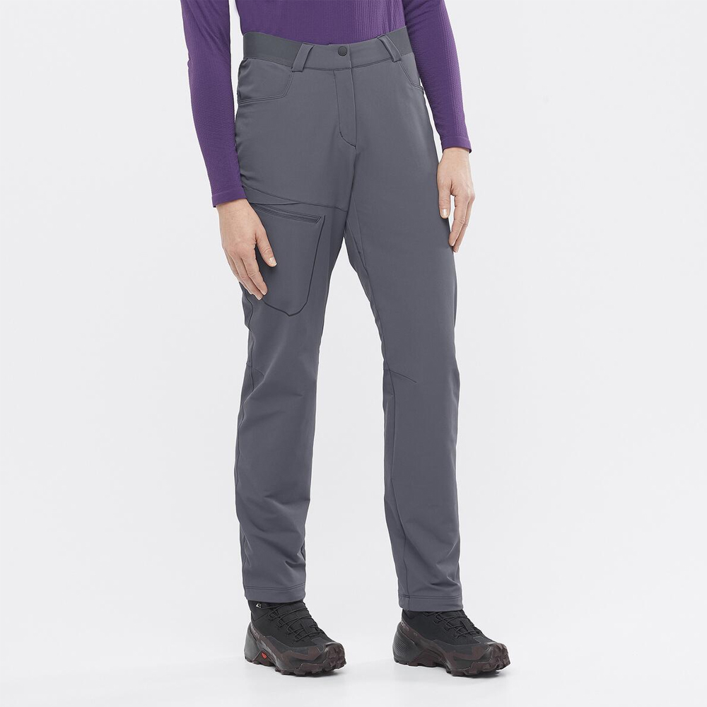 Треккинговые брюки женские Salomon Wayfarer warm