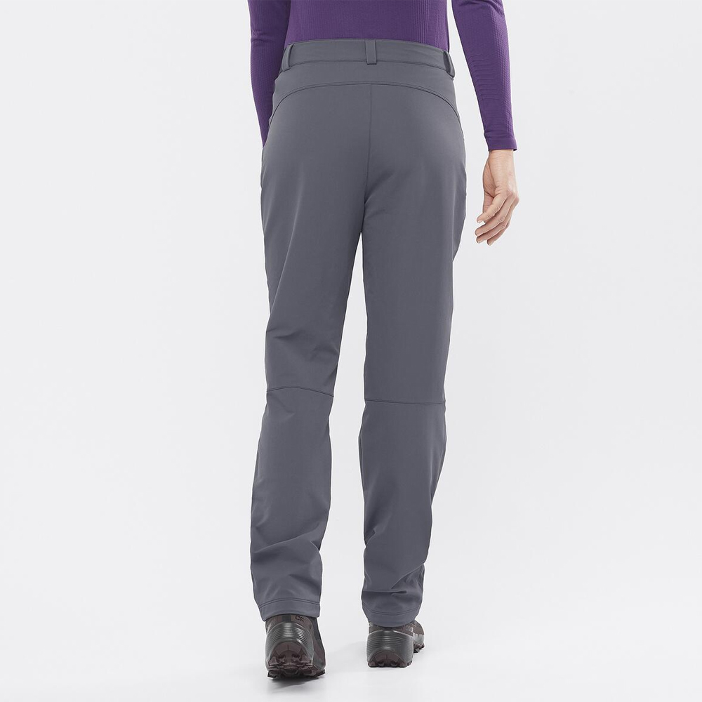 Треккинговые брюки женские Salomon Wayfarer warm