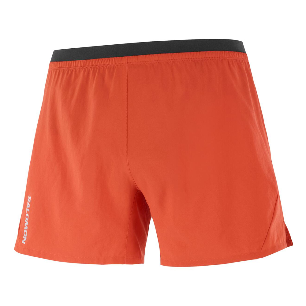 Шорты спортивные мужские Salomon Cross 5