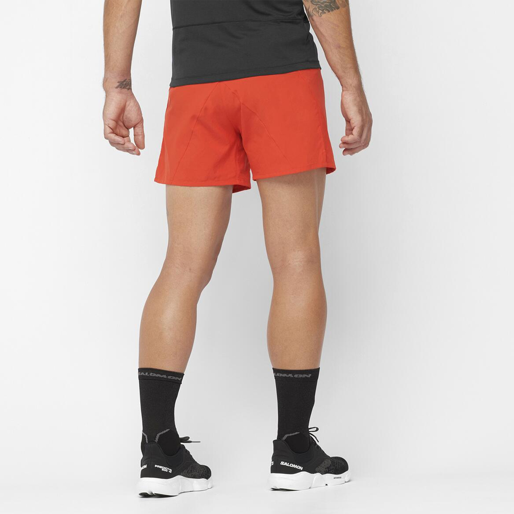 Шорты спортивные мужские Salomon Cross 5