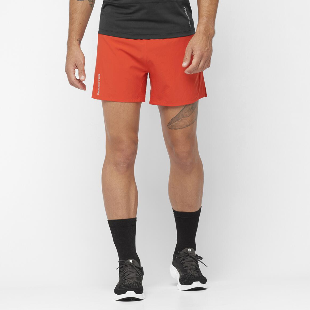 Шорты спортивные мужские Salomon Cross 5