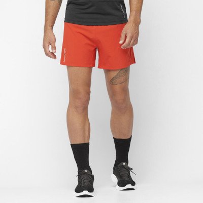 Шорты спортивные мужские Salomon Cross 5 Шорты спортивные мужские Salomon Cross 5