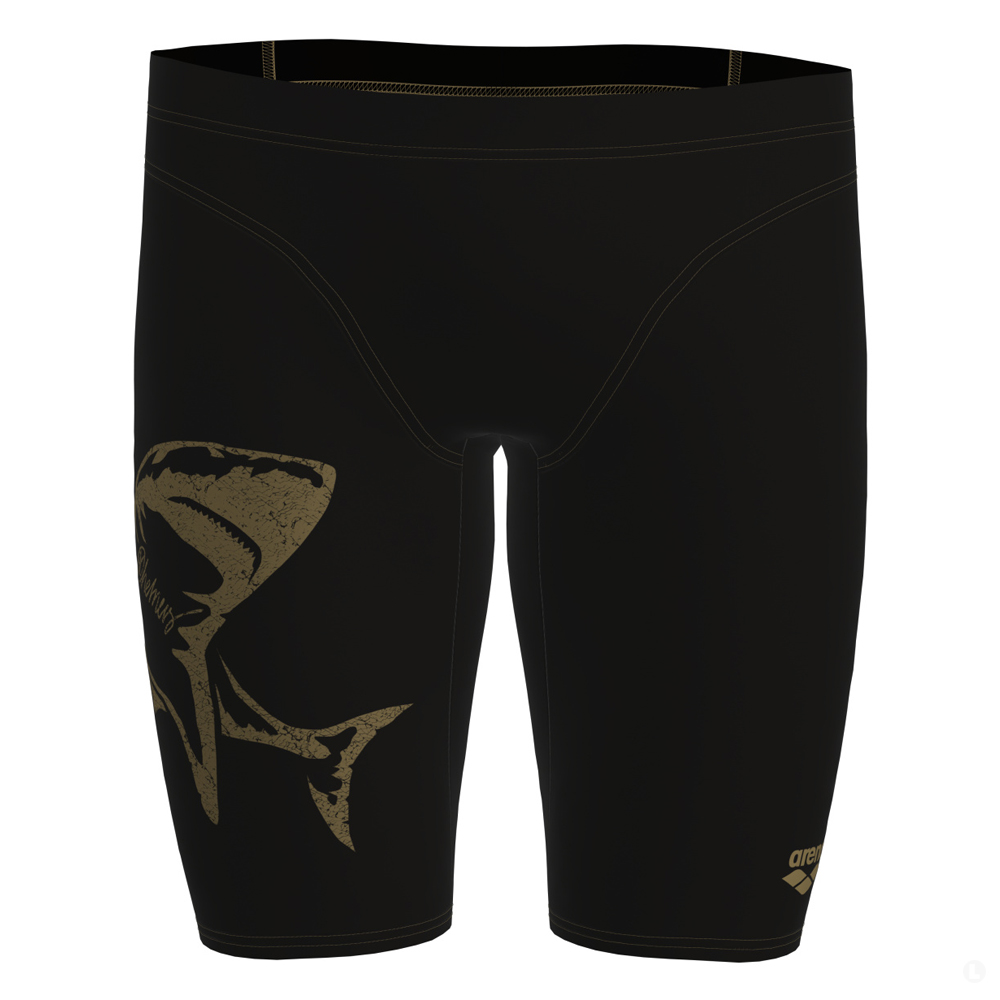 Шорты мужские Arena SWIM JAMMER SIGNATURE