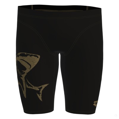 Шорты мужские Arena SWIM JAMMER SIGNATURE