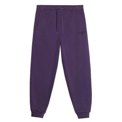 Спортивные брюки мужские 4F Sportstyle фиолетовые Спортивные брюки мужские 4F Sportstyle фиолетовые