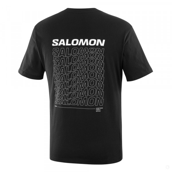 Футболка мужская Salomon Sal Dynamic Logo