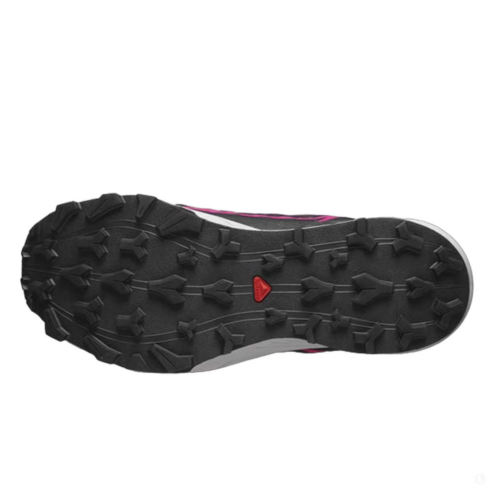 Треккинговые кроссовки женские Salomon Thundercross Gtx