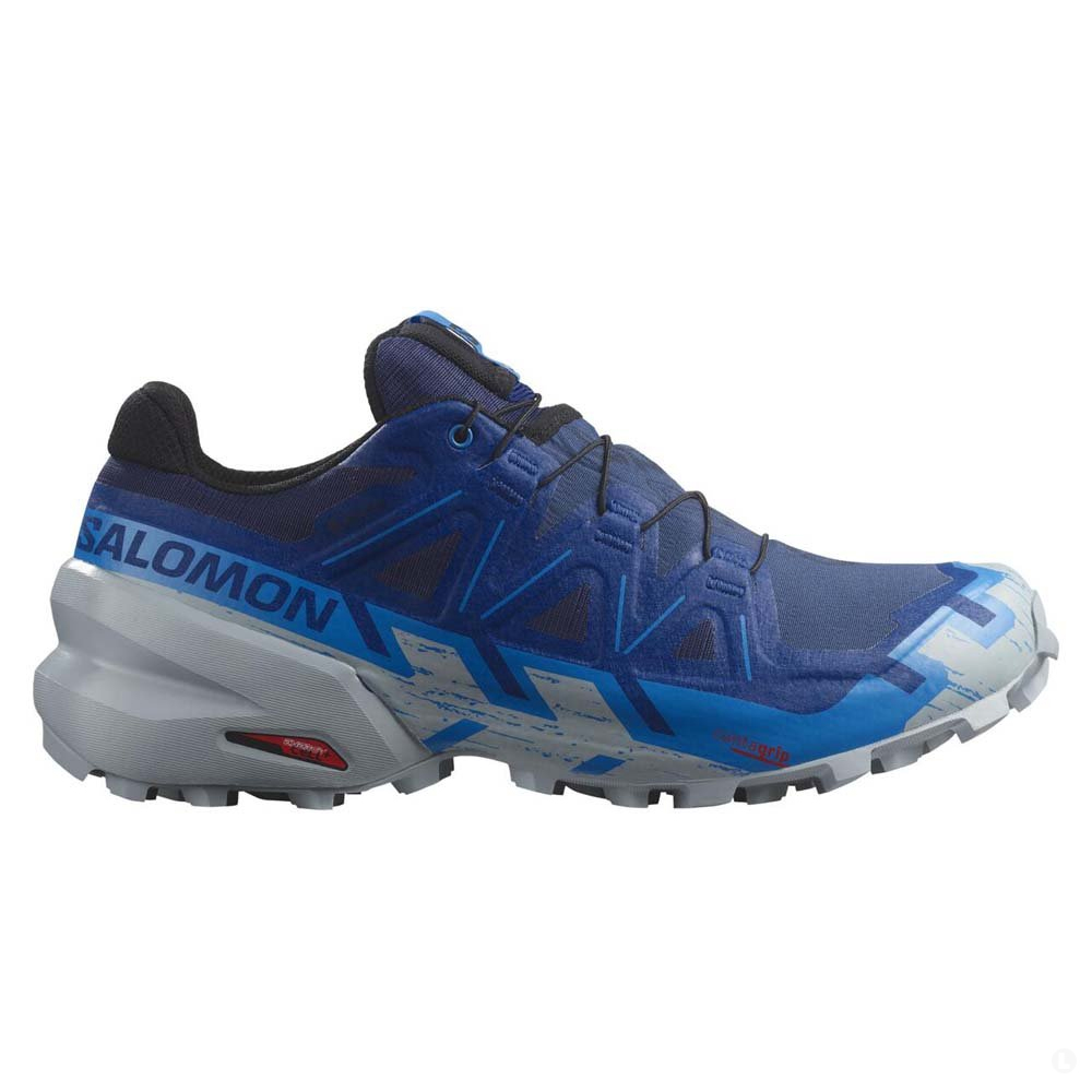 Треккинговые кроссовки мужские Salomon Speedcross 6 gtx Треккинговые кроссовки мужские Salomon Speedcross 6 gtx