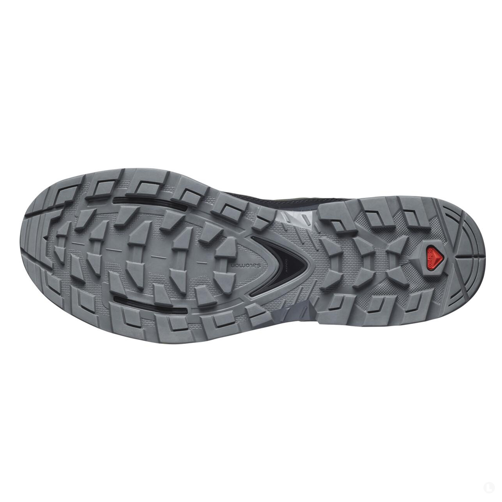Треккинговые ботинки мужские Salomon Quest element gtx