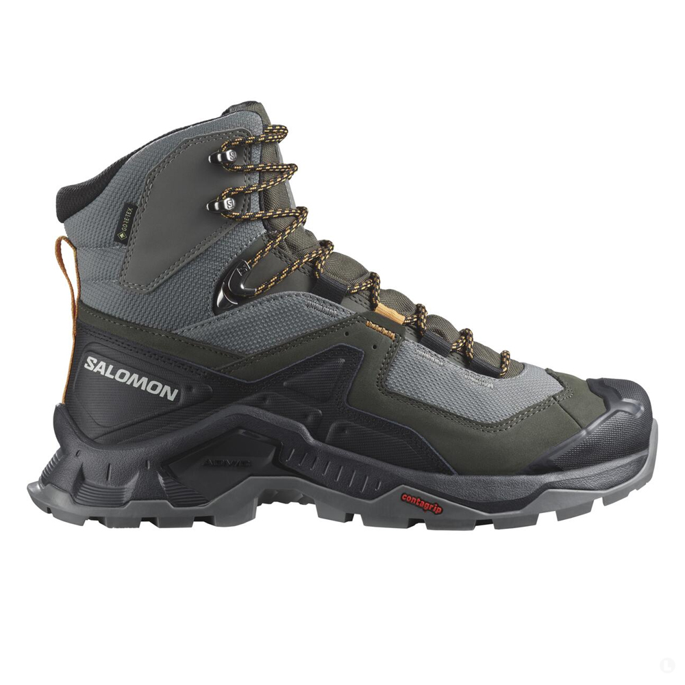 Треккинговые ботинки мужские Salomon Quest element gtx