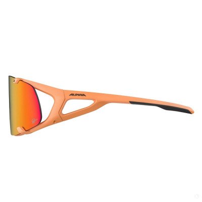 Солнцезащитные очки Alpina Hawkeye Q-Lite bronce