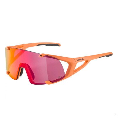 Солнцезащитные очки Alpina Hawkeye Q-Lite bronce