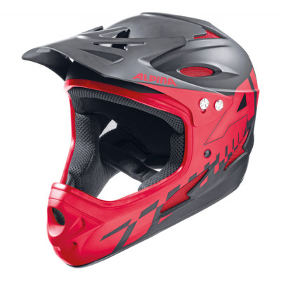 Шлем горнолыжный Alpina Fullface Шлем горнолыжный Alpina Fullface