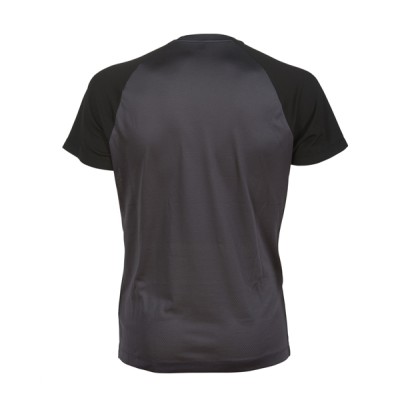 Футболка мужская Arena Gym reglan