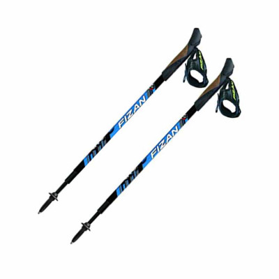 Палки для скандинавской ходьбы Fizan F56 Fitness Палки для скандинавской ходьбы Fizan F56 Fitness