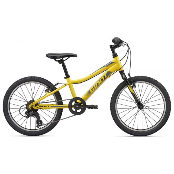 Велосипед Giant XtC Jr 20 Lite 2020