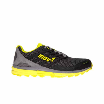 Кроссовки треккинговые мужские Inov Trailtalon 290