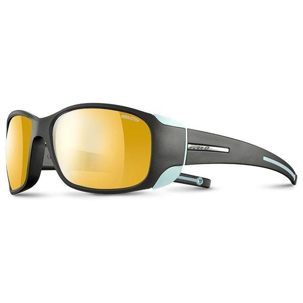 Очки Julbo Monterosa rv2-4