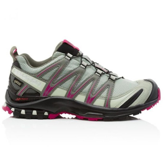 Кроссовки треккинговые женские Salomon Xa Pro 3D GTX