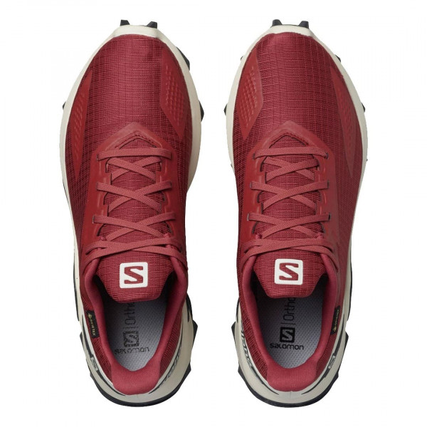 Кроссовки треккинговые женские Salomon Alphacross blast gtx