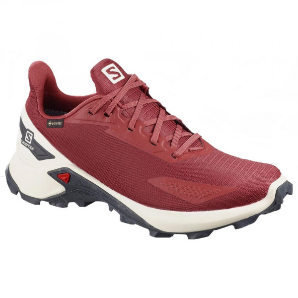 Кроссовки треккинговые женские Salomon Alphacross blast gtx