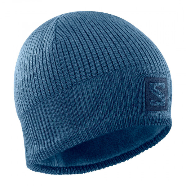 Зимняя шапка Salomon Logo