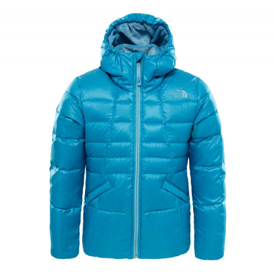 Куртка пуховая детская The North Face Moondoggy 2.0 Куртка пуховая детская The North Face Moondoggy 2.0